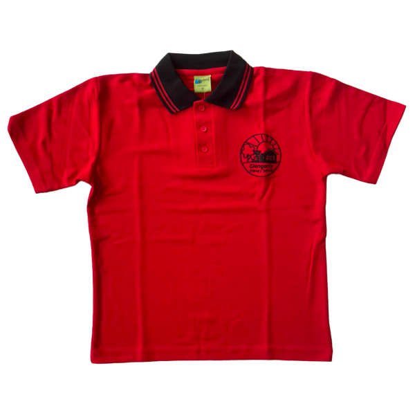 SHORT SHEEVE POLO