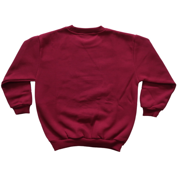 WINDCHEATER - Image 2