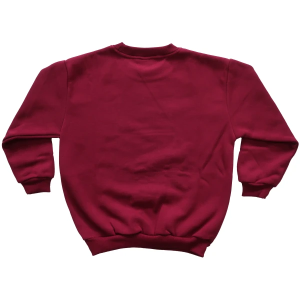 WINDCHEATER - Image 2