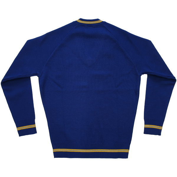 STRIPED V-NECK WOOLEN JUMPER - Image 2