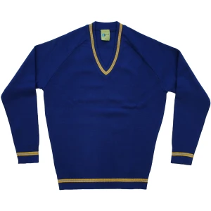 STRIPED V-NECK WOOLEN JUMPER