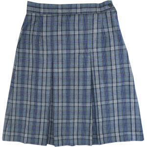 WINTER SKIRT