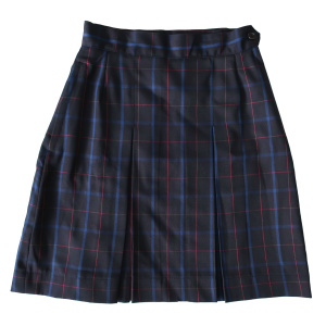 WINTER SKIRT