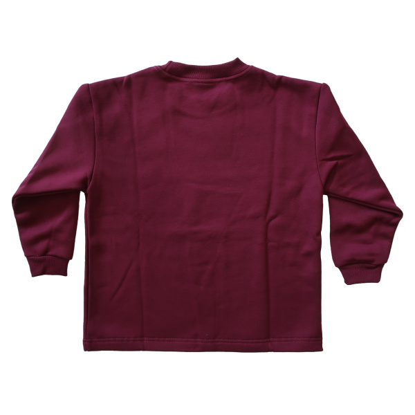 STRAIGHT-HEM SUPER FLEECE WINDCHEATER - Image 2
