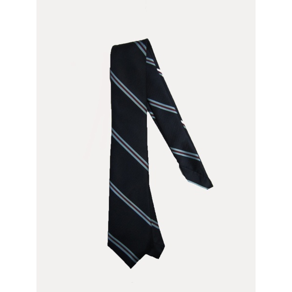 COLLEGE TIE