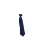 COLLEGE TIE