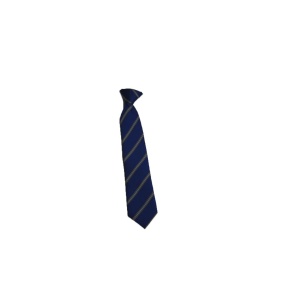 COLLEGE TIE