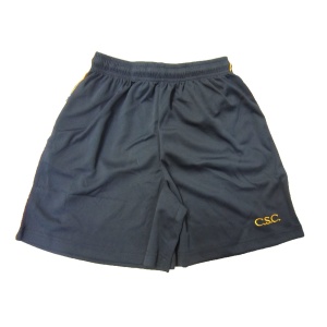 SPORTS MESH SHORTS