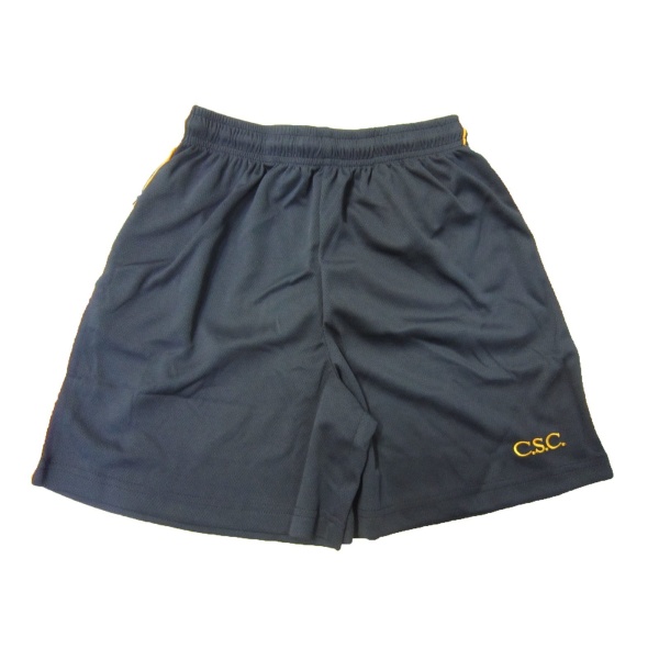 SPORTS MESH SHORTS