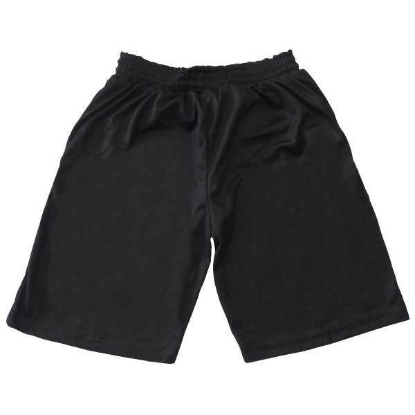 SPORTS MESH SPORTS SHORTS