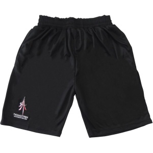 SPORTS MESH SPORTS SHORTS