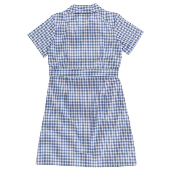 GIRL'S PRIMARY SUMMER DRESS BACK