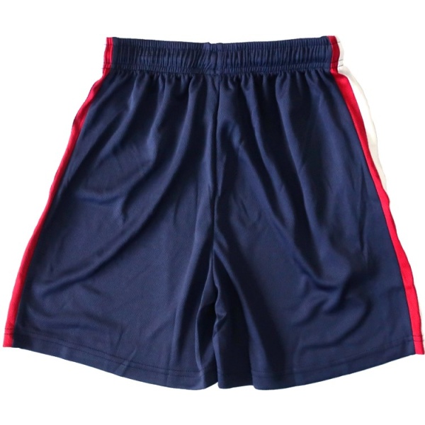 MICRO MESH SPORTS SHORTS