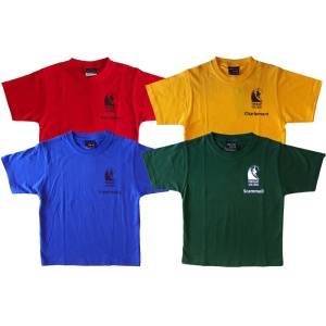 HOUSE COLOURED T-SHIRTS