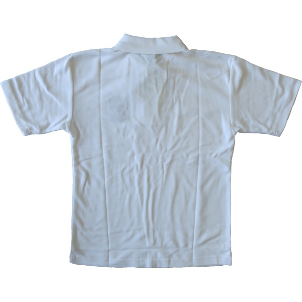 JUNIOR BOYS SHORT SLEEVE POLO SHIRT