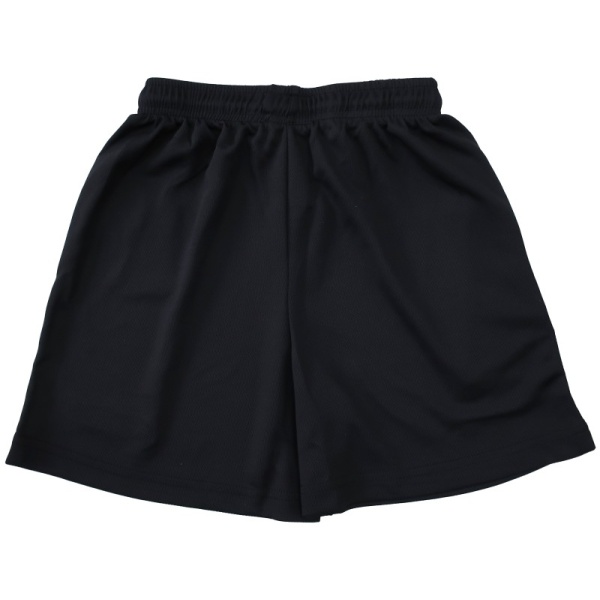 SPORTS MESH SPORTS SHORTS