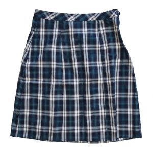 WINTER SKIRT