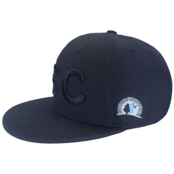 SNAPBACK HAT
